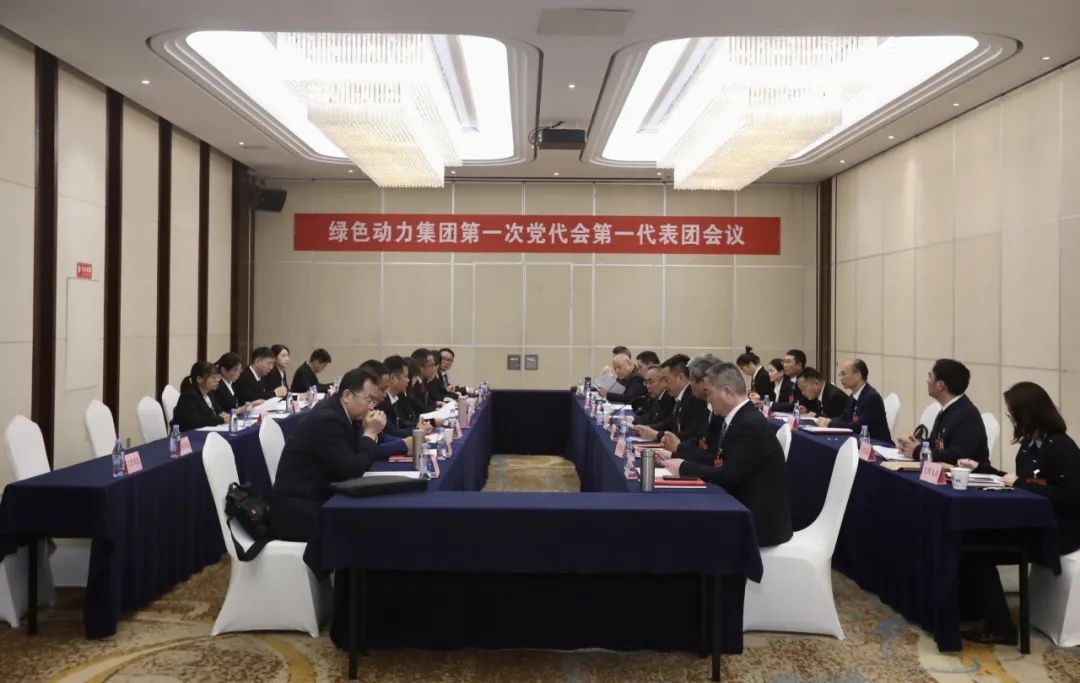 铭刻使命再出发，代表热议“两委”报告