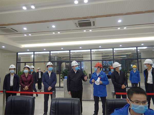 广西壮族自治区人大常委会副主任张秀隆视察asiagame博白项目